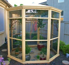 Gouldian Finch Aviary