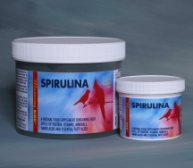 spirulina for parrots