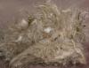 100% all natural and bio-degradable Nesting Fiber options to suit any finch species