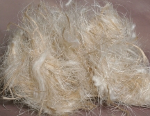 Nesting Materials | Laraine's Lady Gouldians