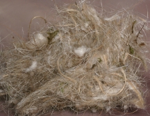 Nesting Material Raffia Grass Canary Finch Box Fillers Multipurpose Gift A